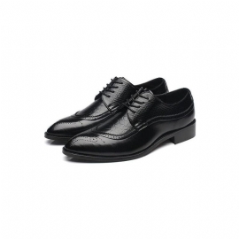 Formele Herenschoenen Exotische Derbyschoenen Met Veters