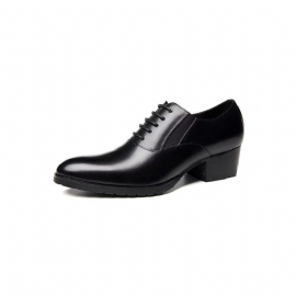 Formele Herenschoenen Met Reliëf Elegante Oxford-schoenen Puntige Neus