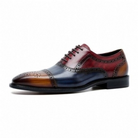 Formele Herenschoenen Oxfords Leer Met Vleugeltip Veters