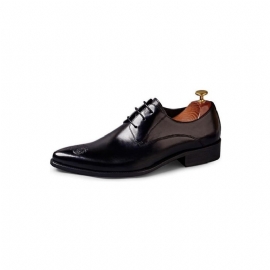 Formele Herenschoenen Stijlvolle Oxford-schoenen Met Veters