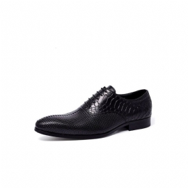 Formele Herenschoenen Weelderige Luxe Met Puntige Neus