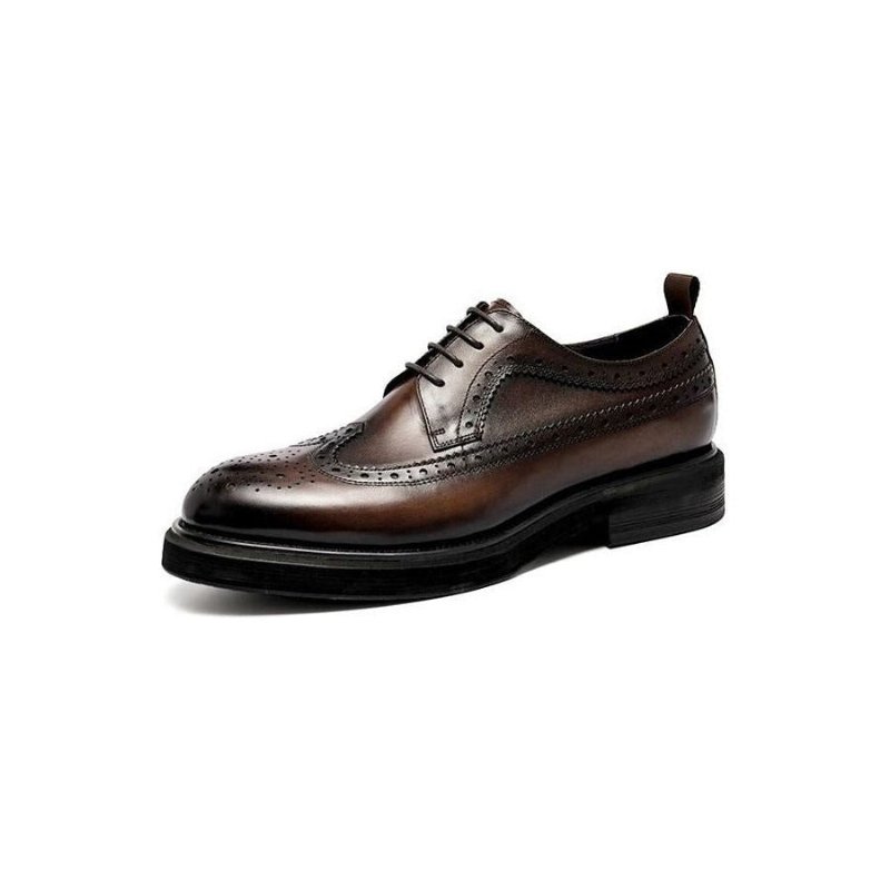 Formele Schoenen Heren Lederen Brogues Met Veters - Koffie