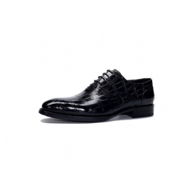 Formele Schoenen Heren Luxe Oxford-schoenen Met Krokodillenmotief