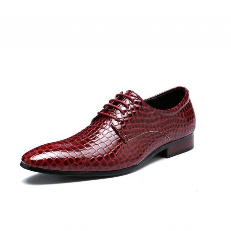Formele Schoenen Heren Trouwschoenen Met Puntige Neus - Rood