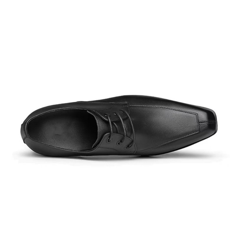 Formele Schoenen Heren Verfijnd Leer Derby-schoenen Met Puntige Neus - Zwart